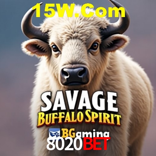 A Experiência Imersiva dos Cassinos Ao Vivo no 8020BET