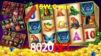 8020BET Brasília - Leaderboards